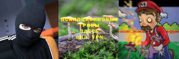 PSILOCYBIN Верея