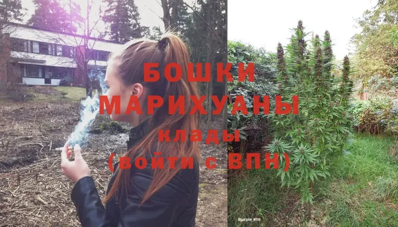 хочу   Баймак  Шишки марихуана White Widow 